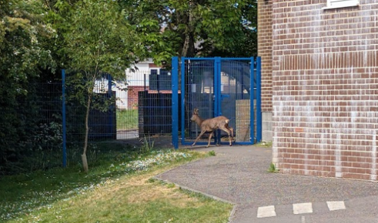 Headteacher Blog –  8th May 2026