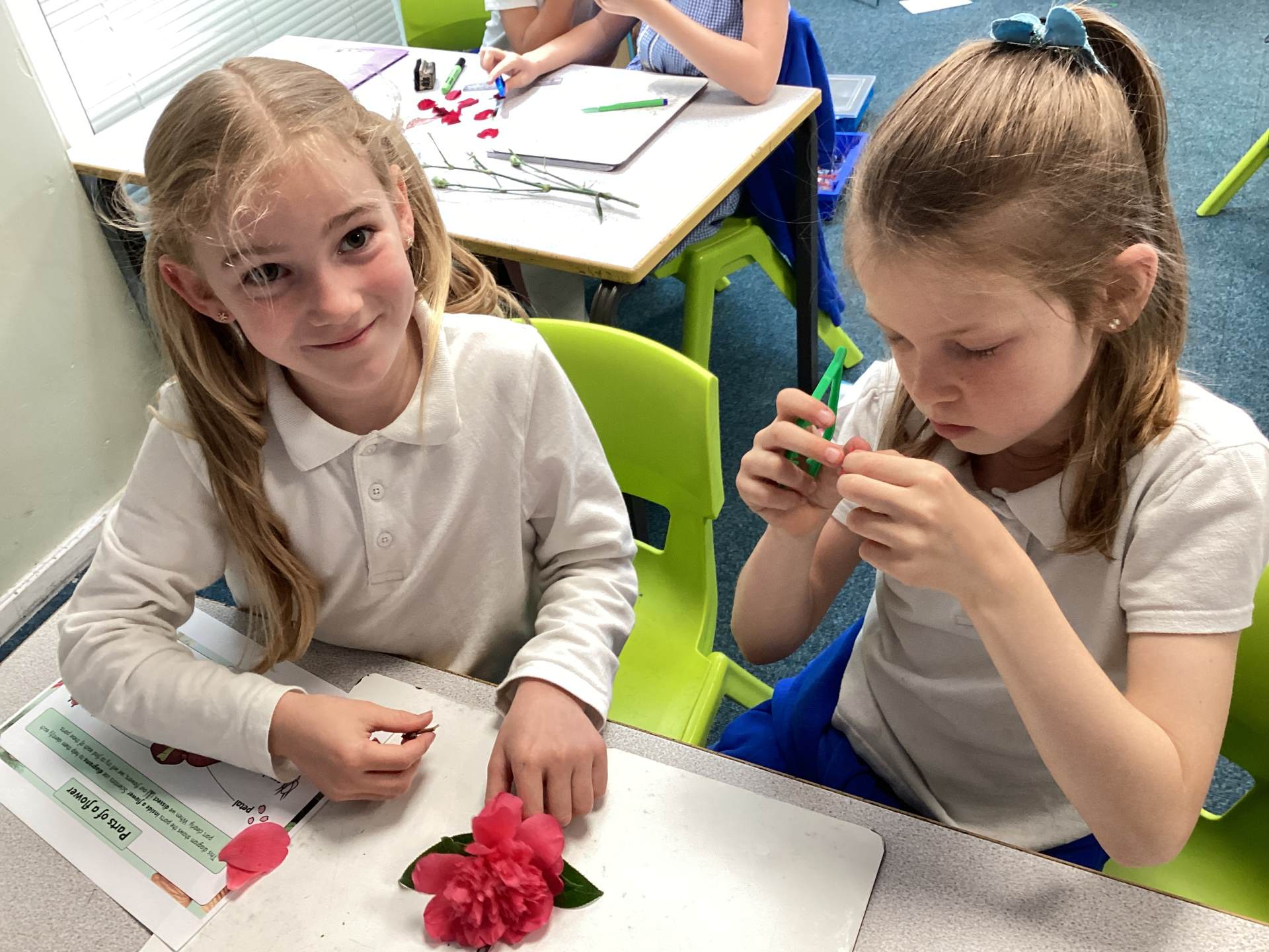 Dissecting flowers in science