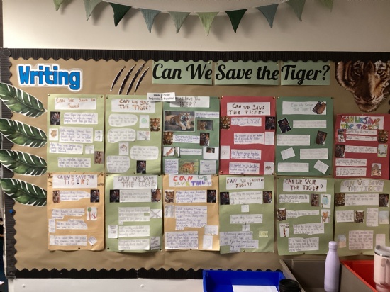 Y6: Can We Save the Tiger?