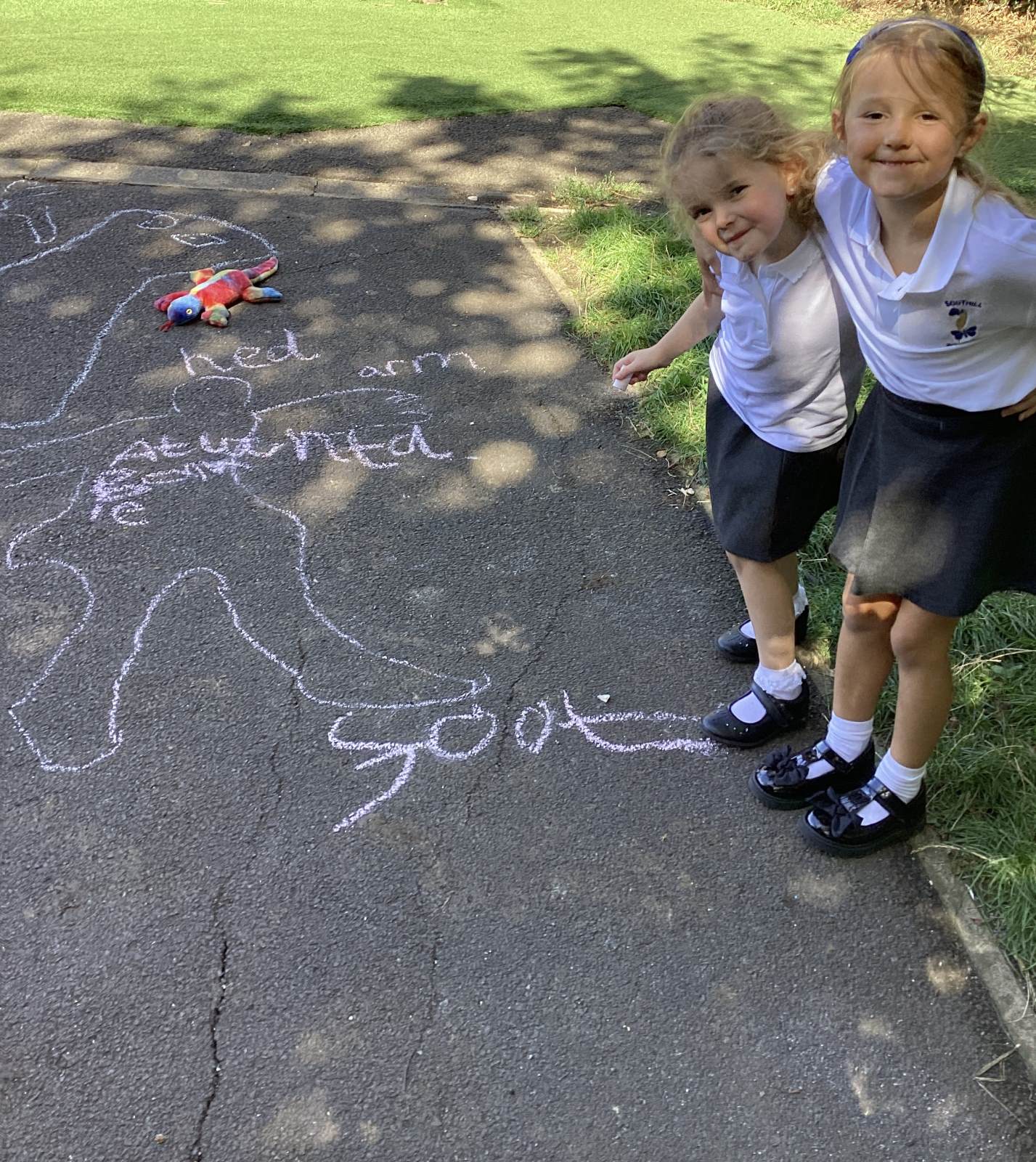 From Fins to Feet: Exploring Animals and Humans